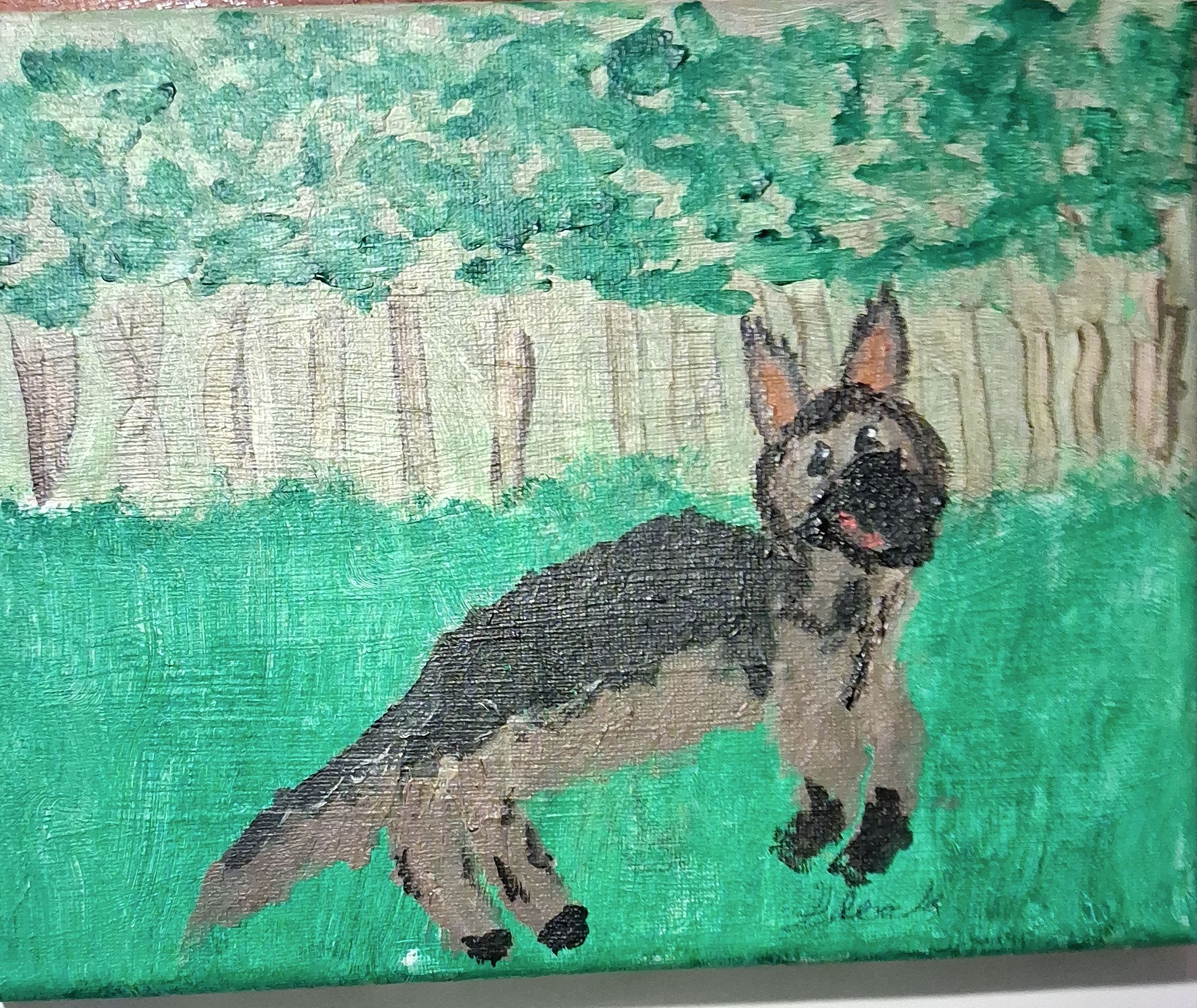 German shepherd