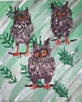 Owls on pine branches