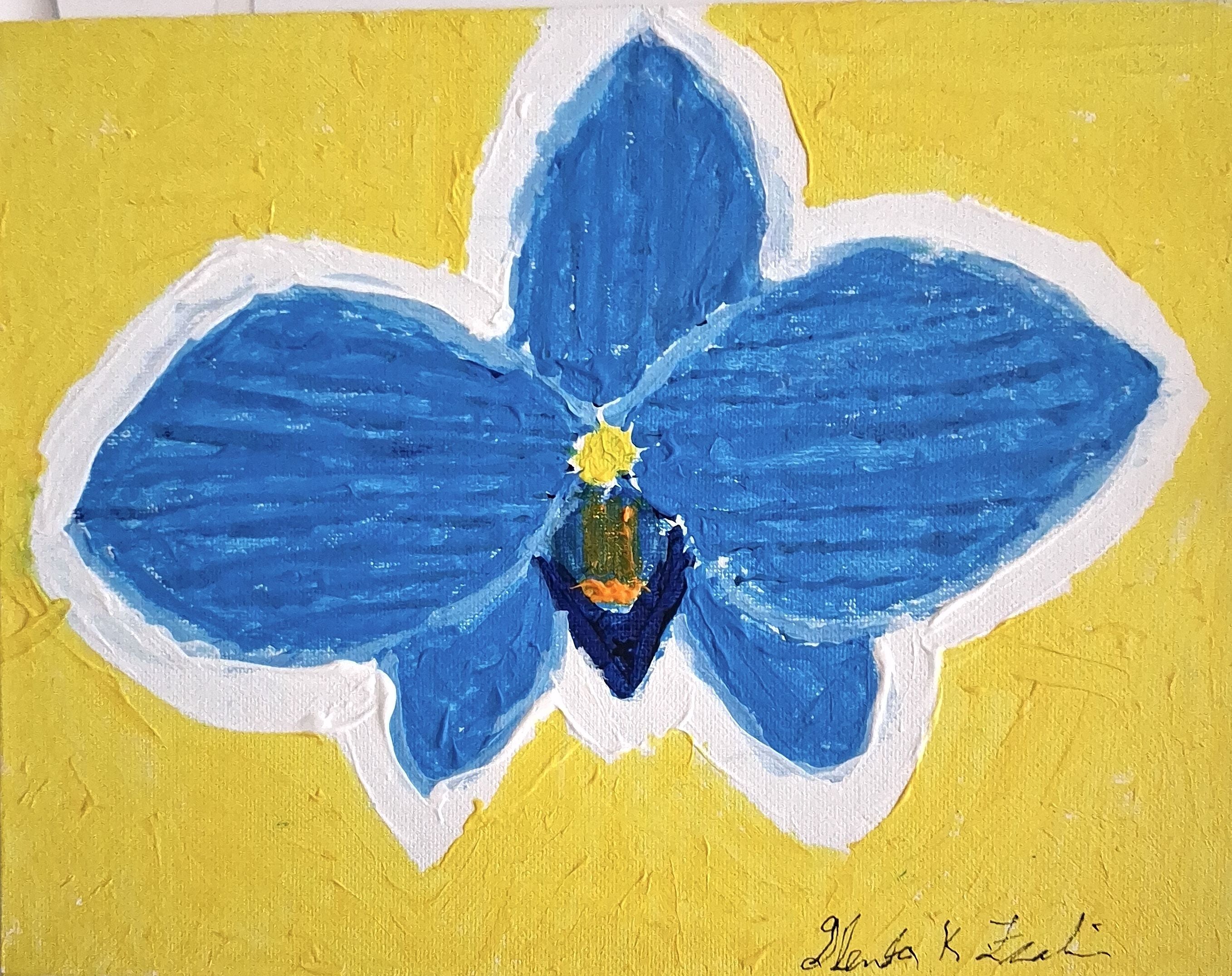 This is the orchid